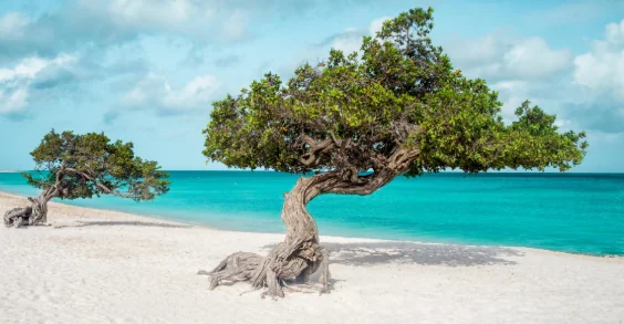 Caraïbes du sud
